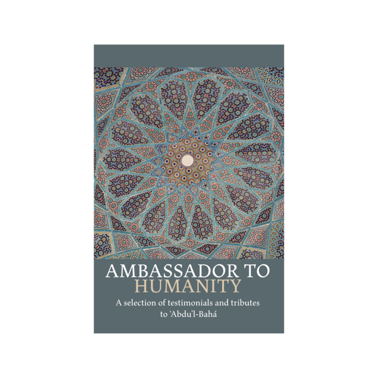 AmbassadortoHumanity_740x